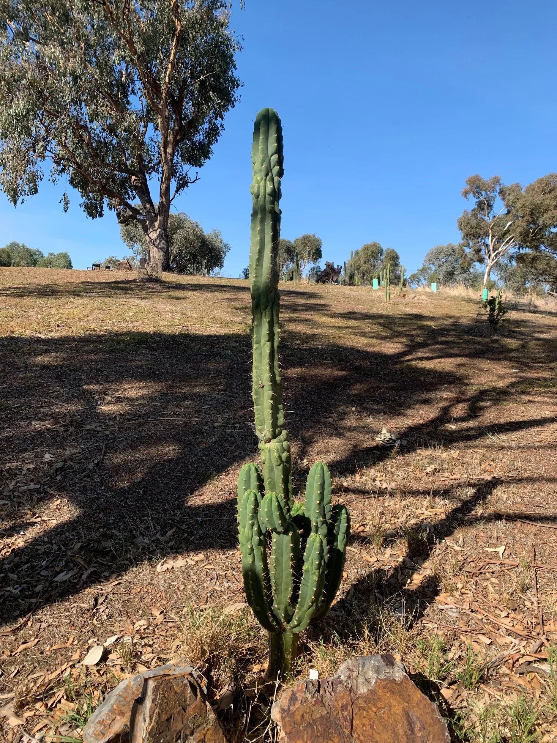 856ADA0F-E902-484E-AFD2-E5FE5095F7EC