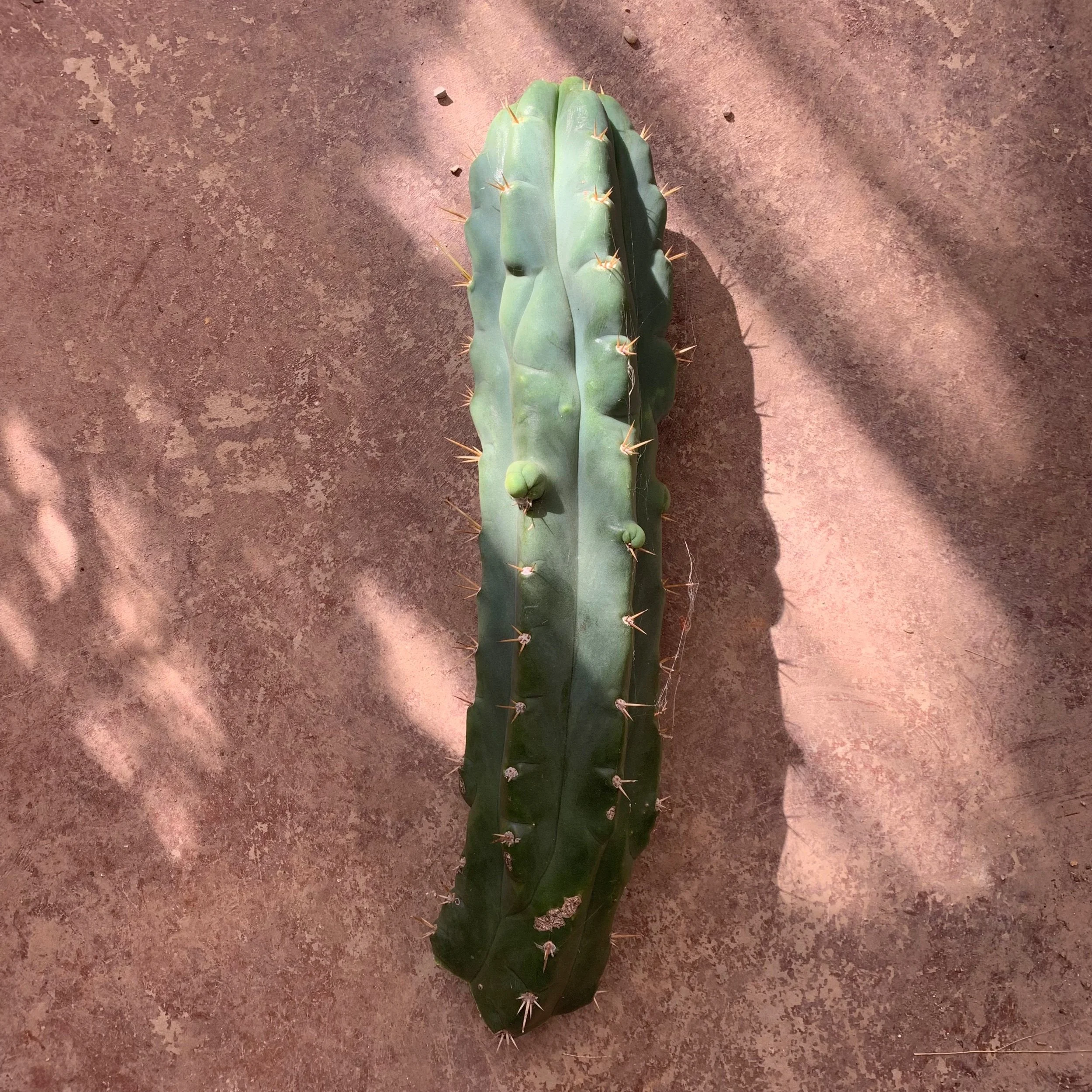 54672F38-ADF8-4CF4-9F16-AB48CB00390E