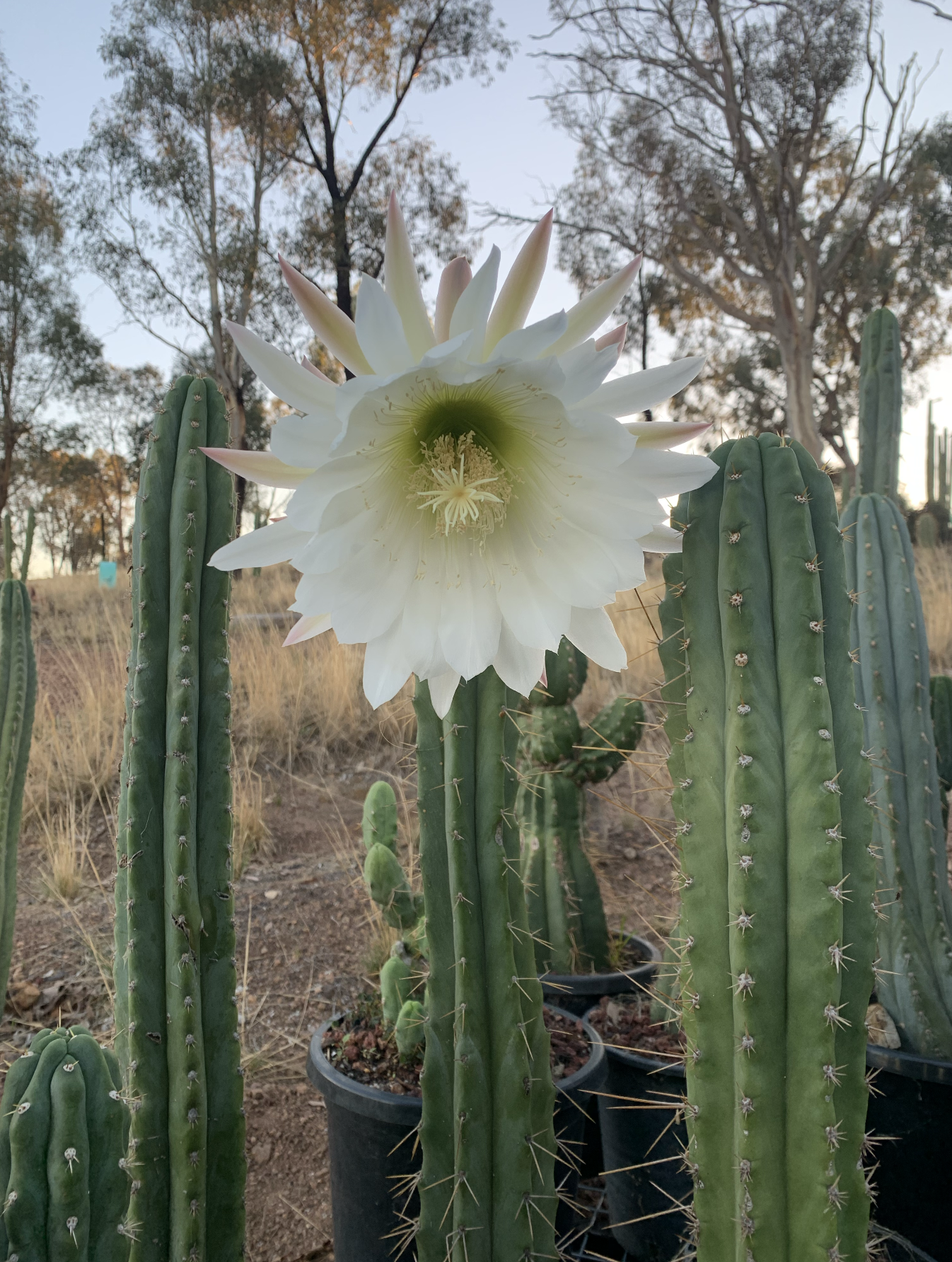 Screenshot 2026-03-09 at 12.47.22 PM.png