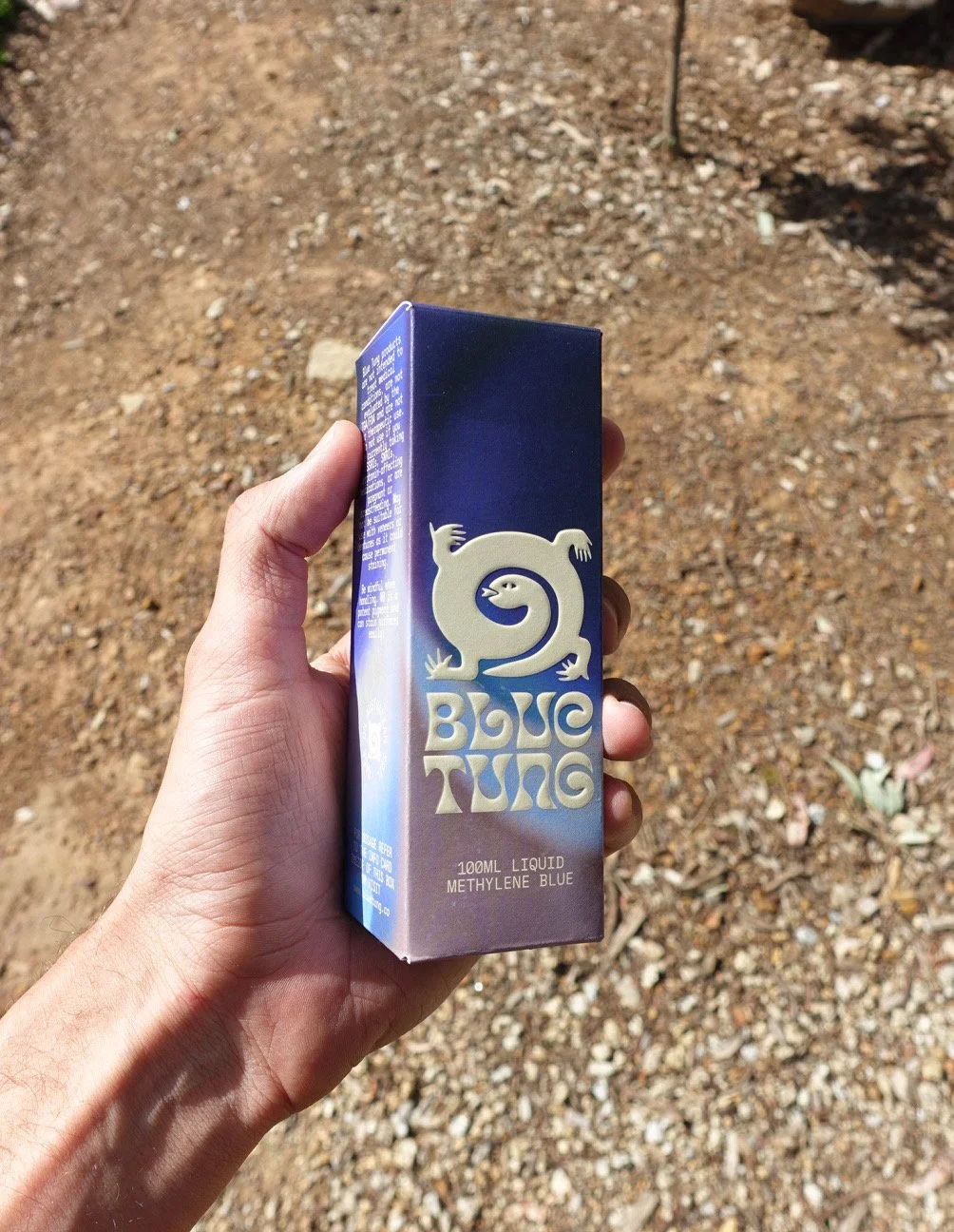 AfterlightImage 12.JPG