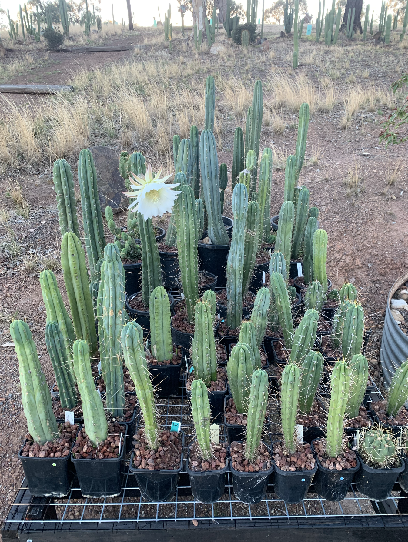 Screenshot 2026-03-09 at 12.48.01 PM.png