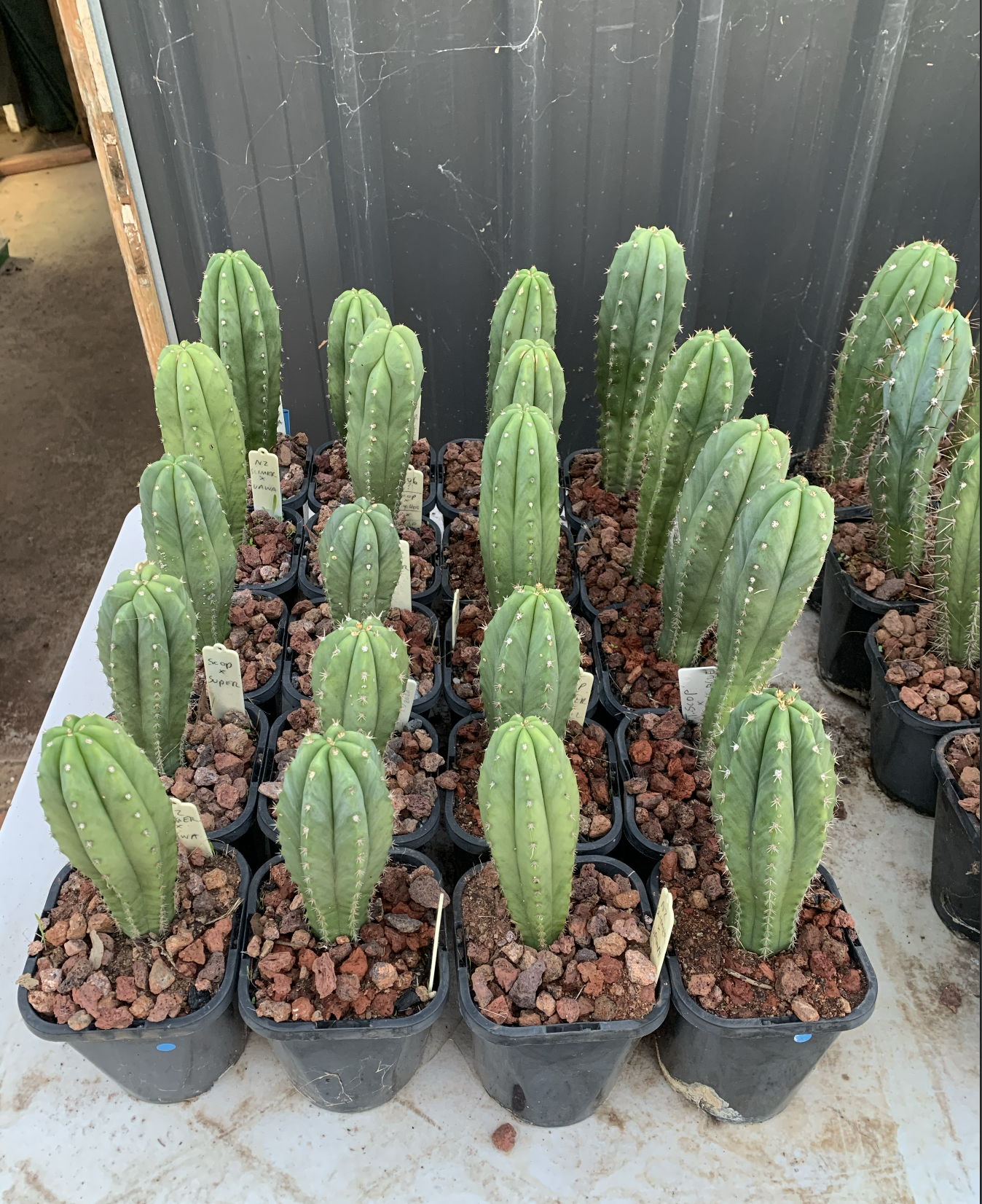 Screenshot 2026-03-09 at 12.47.42 PM.png