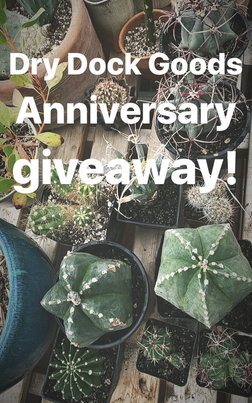 Anniversary Giveaway!