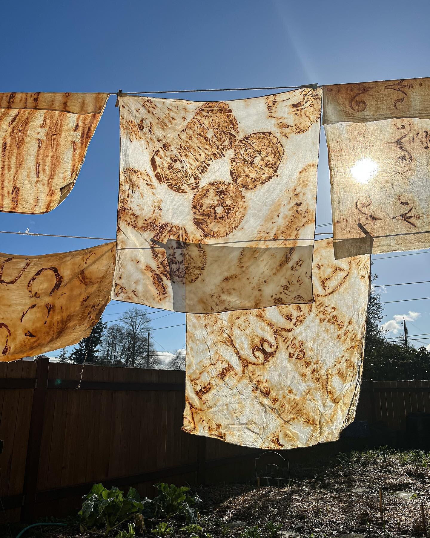 Here&rsquo;s a little something different - 
the dyeing projects go on, and this time I&rsquo;m using some help from rusty old sh*t I find 😜
These pieces were dyed with old decorative fencing, horse shoes, bolts, wrenches, and obviously, saw blades.