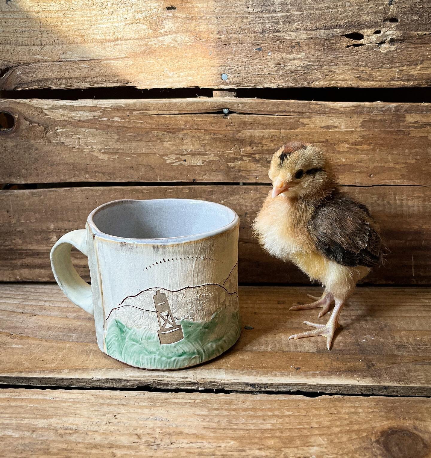 But wait, there&rsquo;s more!
This little chickie wasn&rsquo;t supposed to come home with me but I saw it&rsquo;s cute chipmunk coloring and couldn&rsquo;t say no. Posing with a new mug inspired by my many trips across the straits. 
.
.
.
#drydockgoo