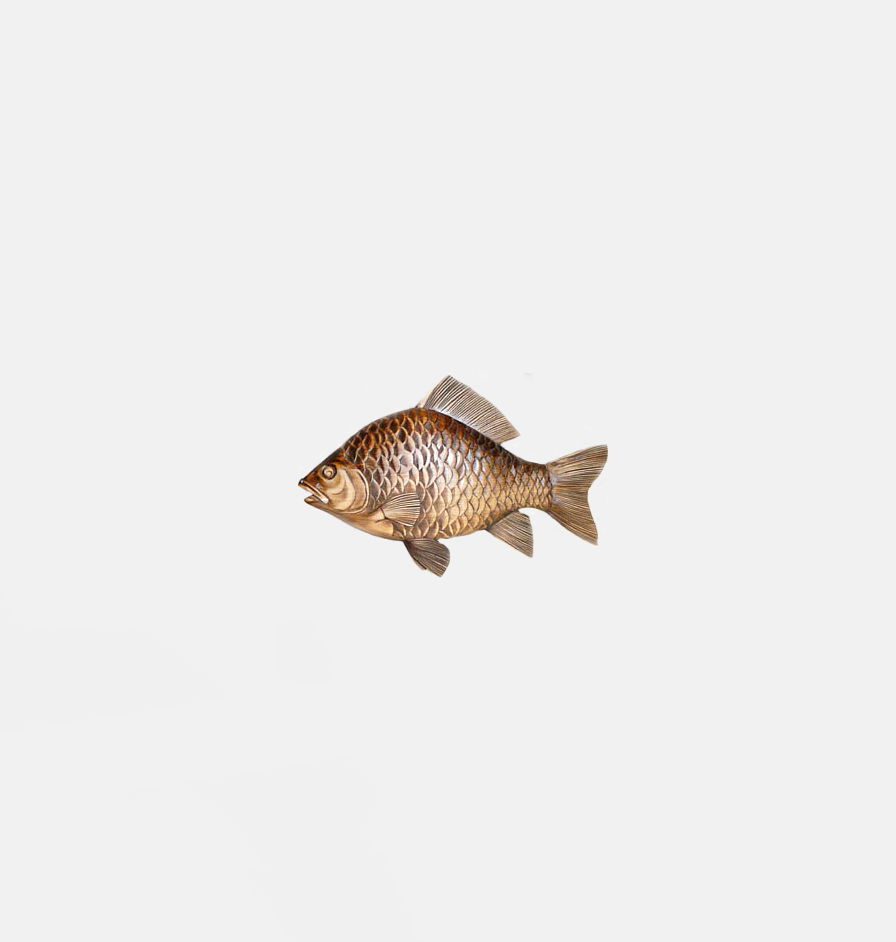 Fingerling Shop Gallery — TILAPIA HATCHERY