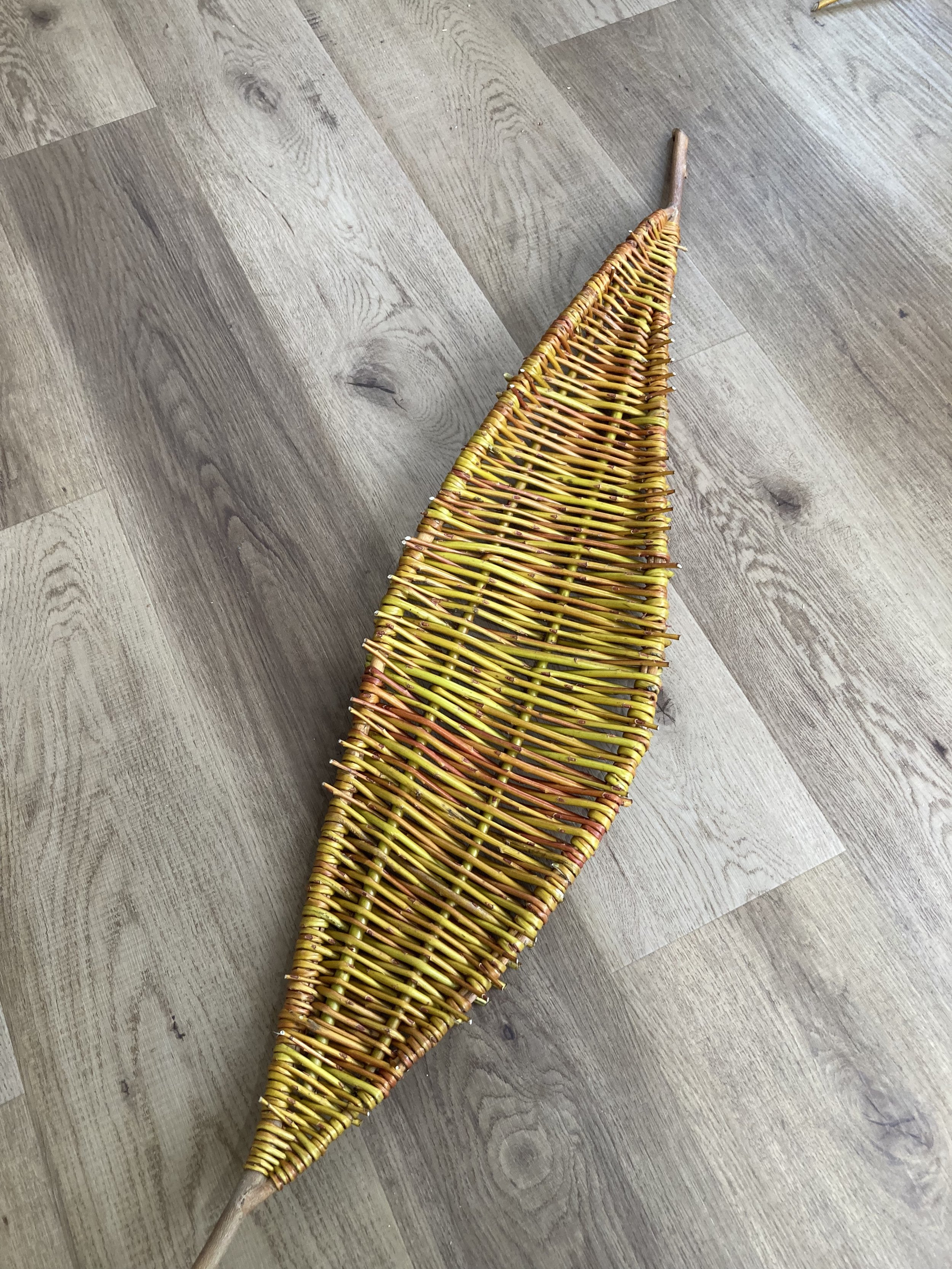 2024-02-16 11.57.29.jpg