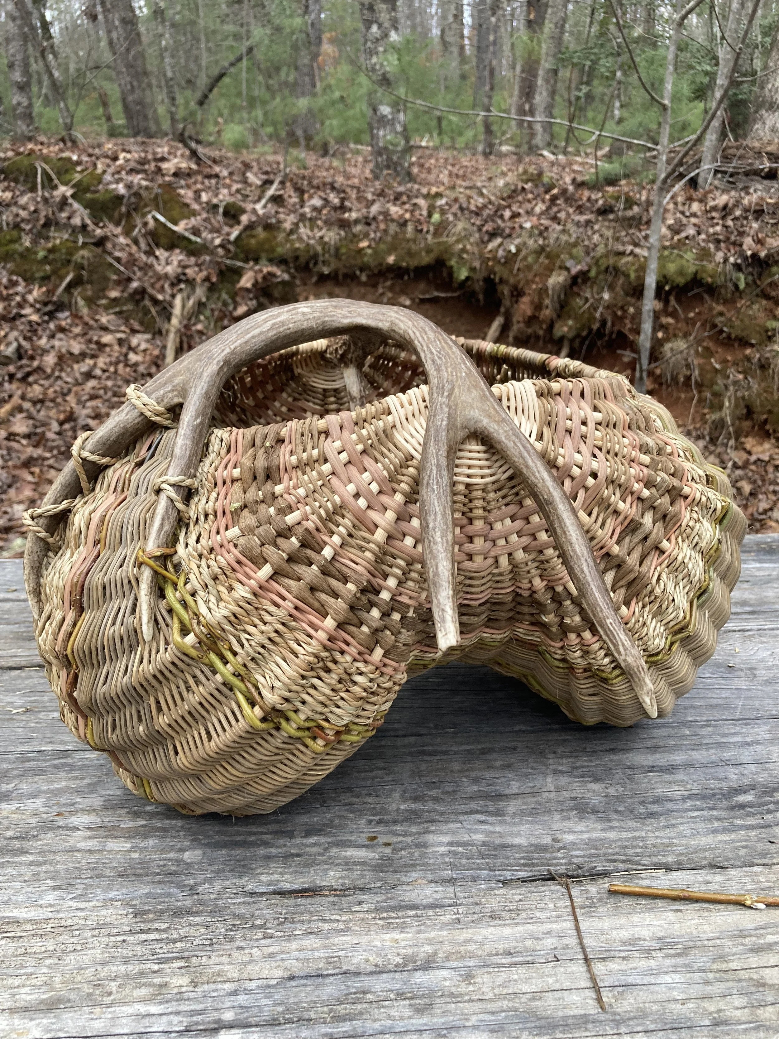 2025-02-05 17.34.09.jpg