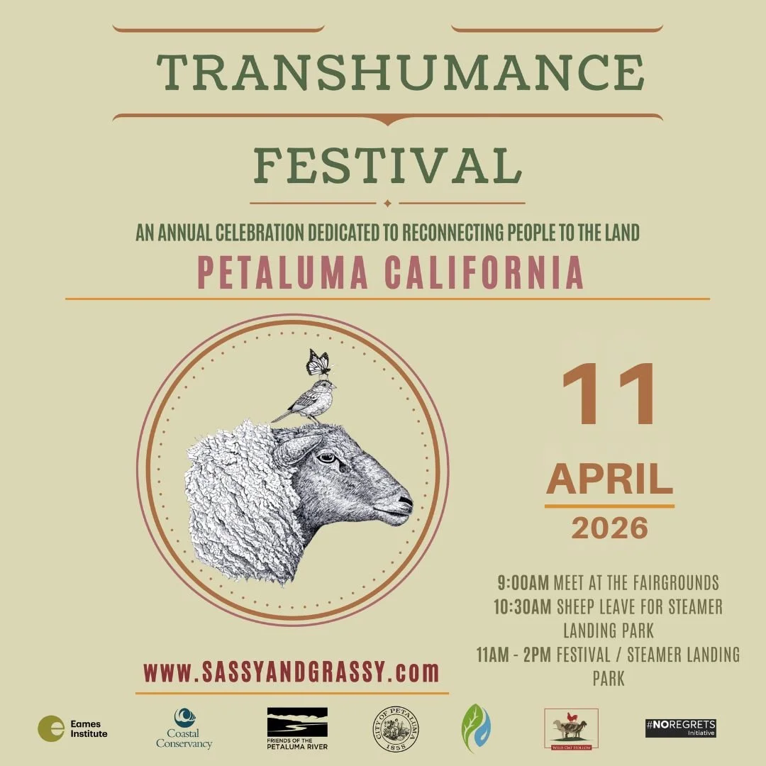 Transhumance Festival