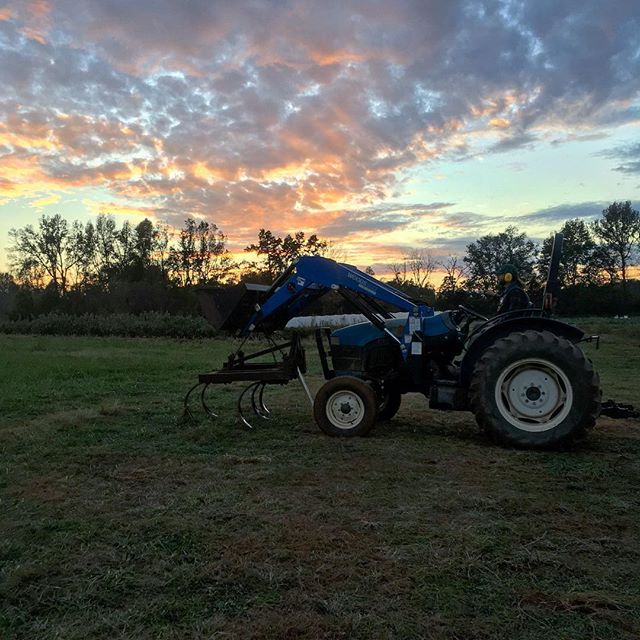 Sunsets from the new farm field are getting to be a familiar sight..
and we&rsquo;re not mad about it 👩🏼&zwj;🌾🌻👨🏻&zwj;🌾