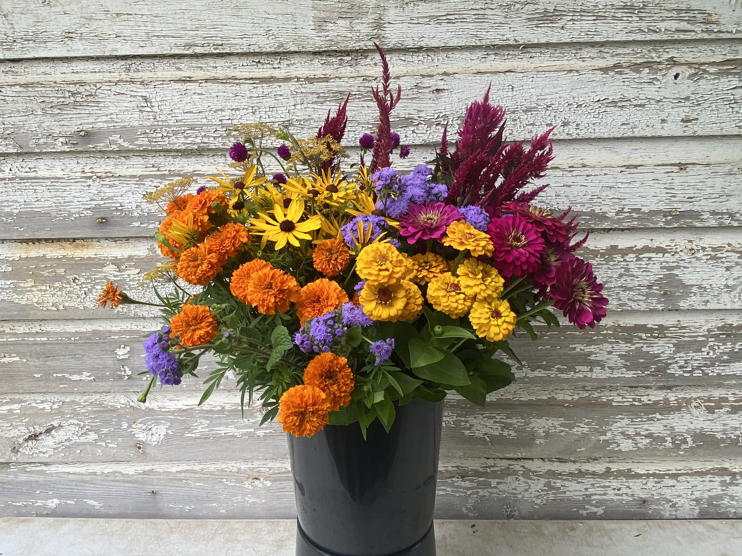 bright and bold2.JPG