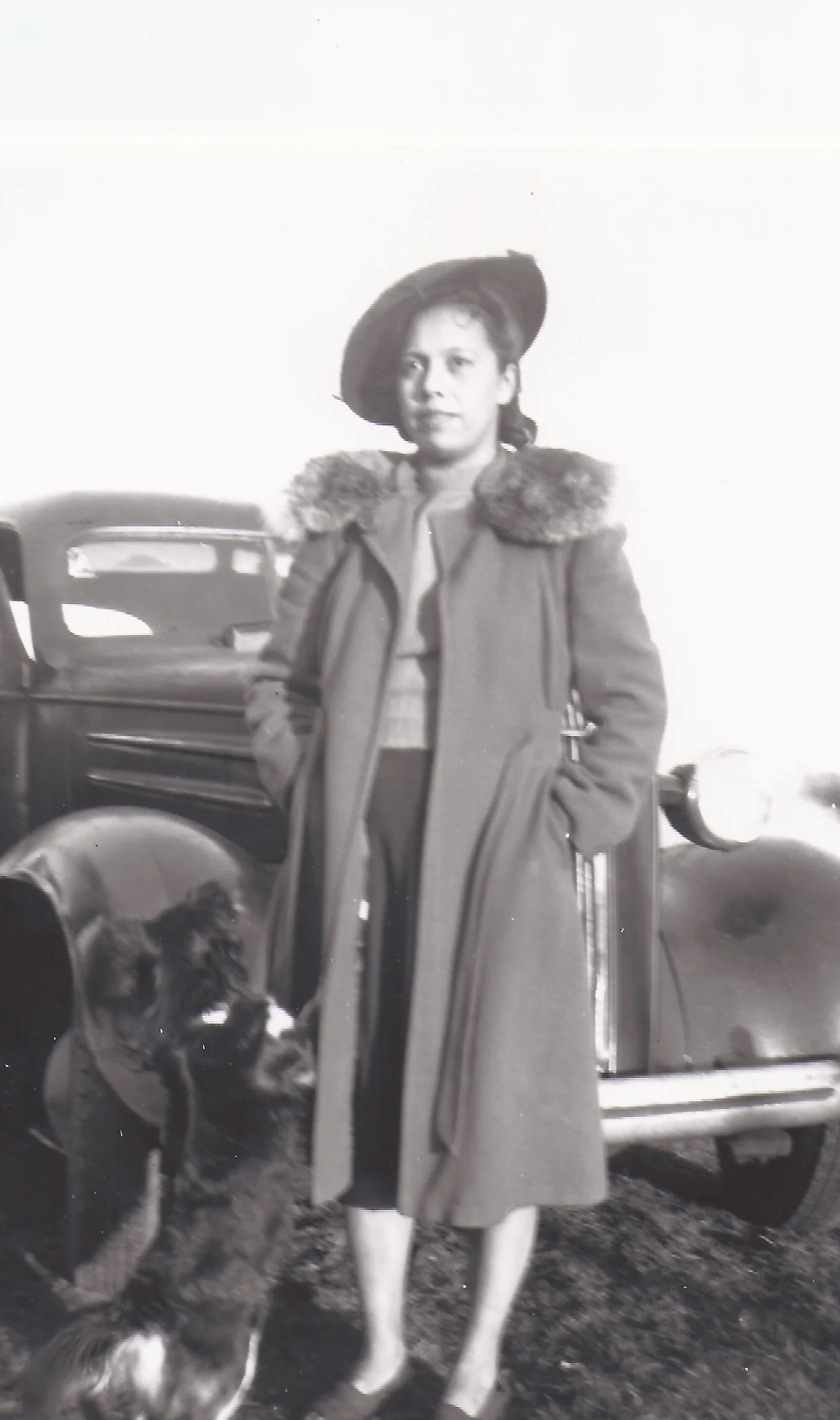 Beatrice Logan