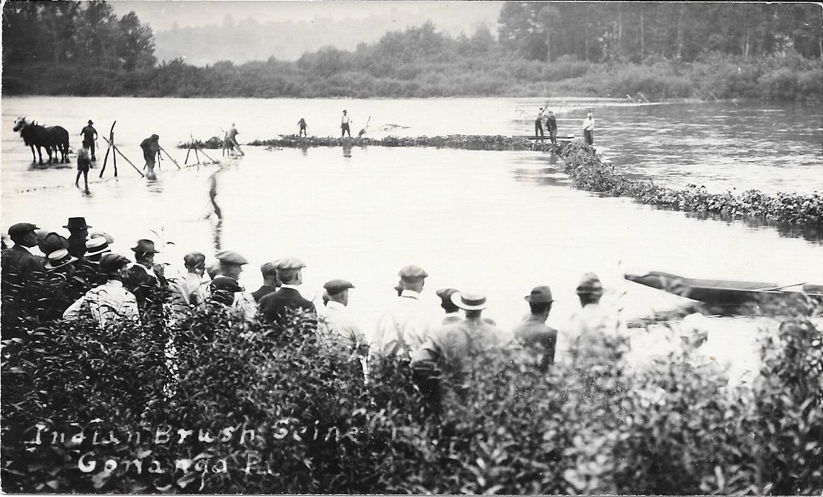 Fish Drive Gowango PA, Weir Fishing