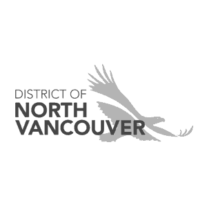 DNV.png