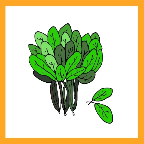 Namaste.9.22.17_spinach.jpg