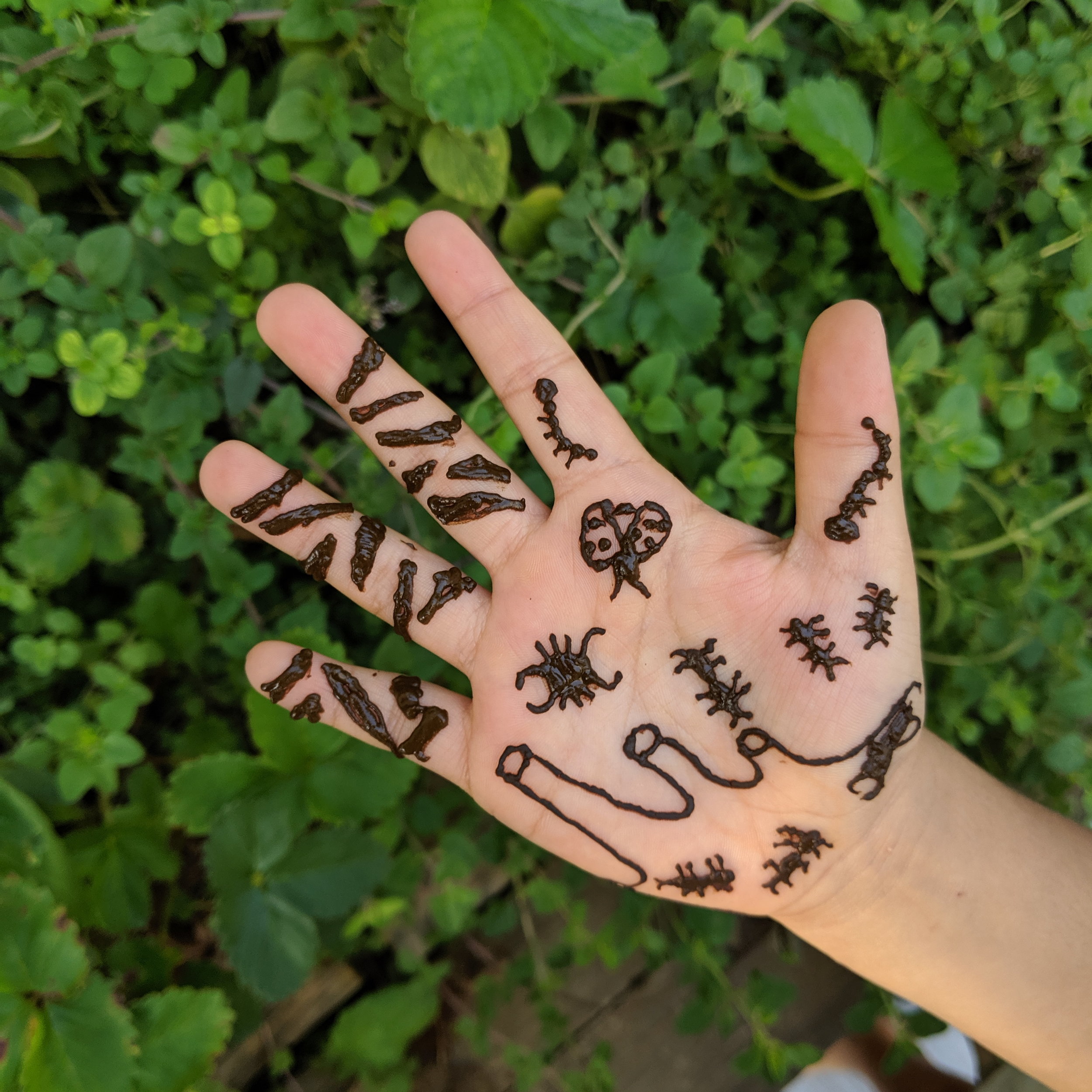 Arjunhenna.jpg
