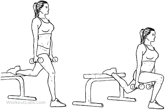 Sumo Barbell Deadlift – WorkoutLabs Exercise Guide