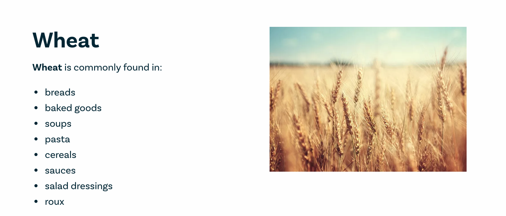 Screen Shot 2019-05-06 at 9.11.04 PM.png