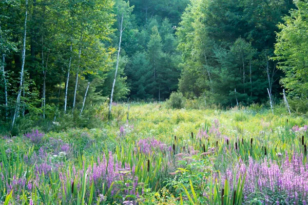 September 23, 2018: Perspective Blog 