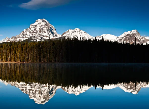 November 18, 2018: Perspective Blog