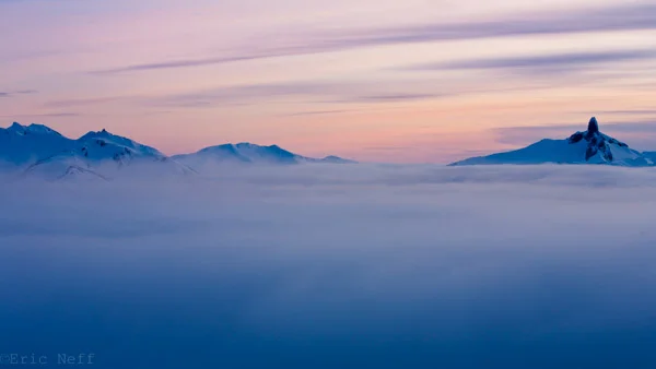 November 17, 2019: Perspective Blog