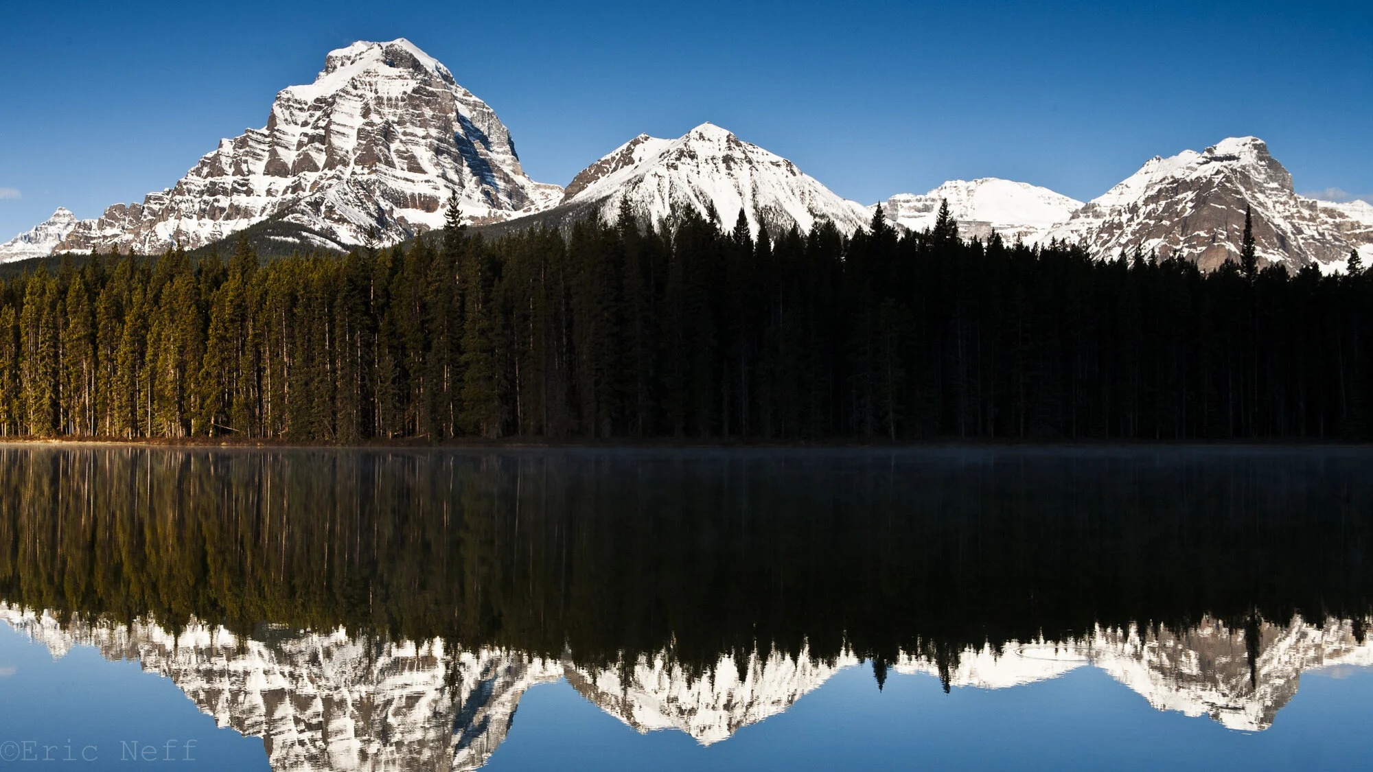 May 30, 2021: Perspective Blog 