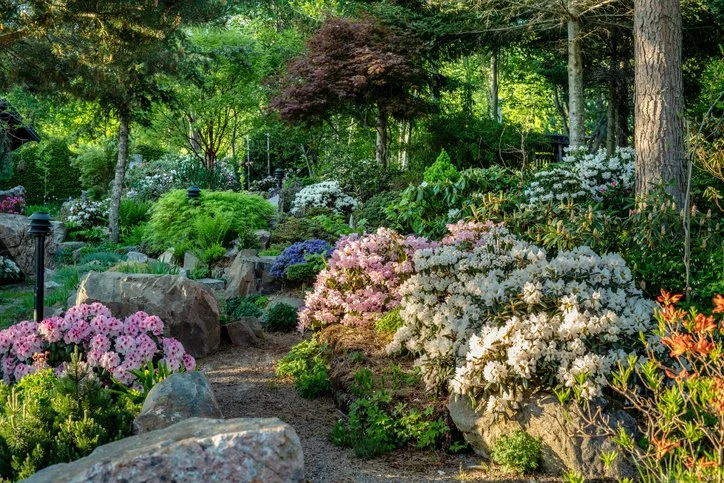 May 29, 2022: Perspective Blog 