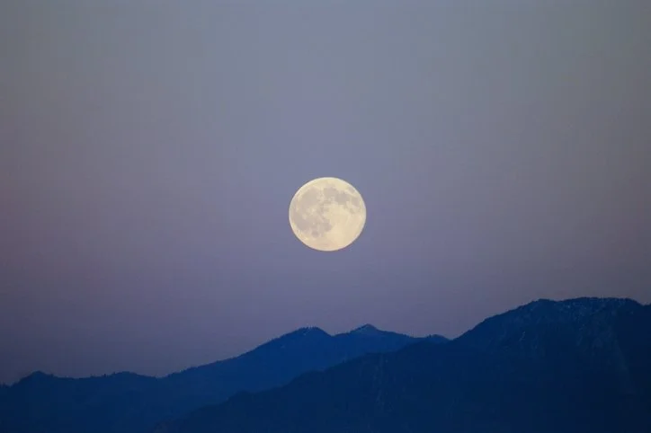 June 12, 2022: Perspective Blog 