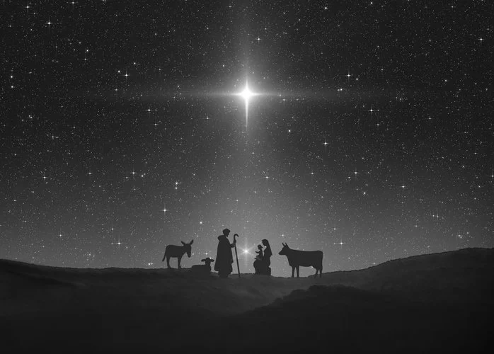 December 10, 2023: Perspective Blog 