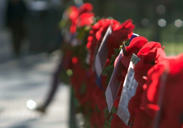 November 10, 2024: Perspective Blog