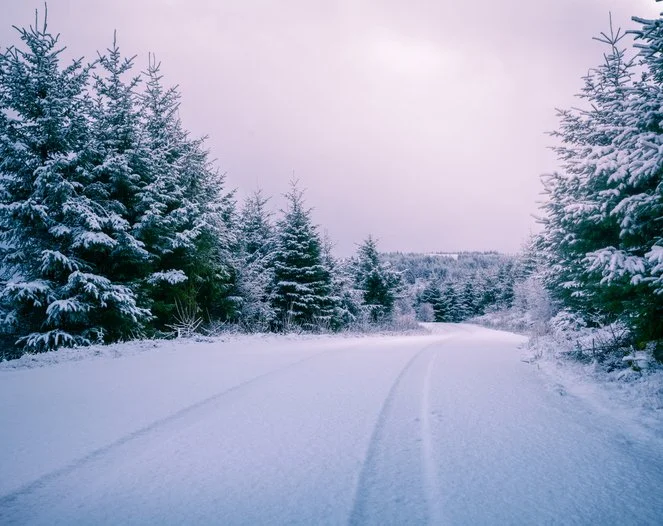 February 15, 2026: Perspective Blog 