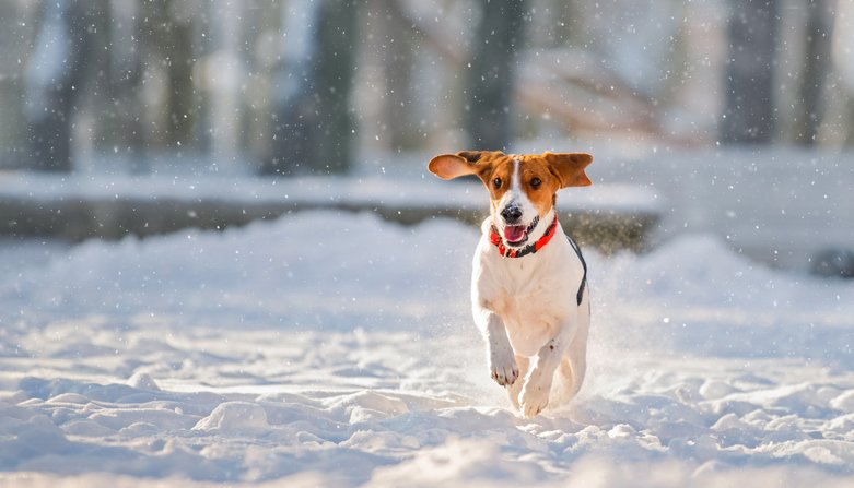 February 22, 2026: Perspective Blog 