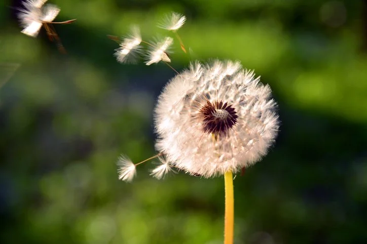 May 3, 2026: Perspective Blog 