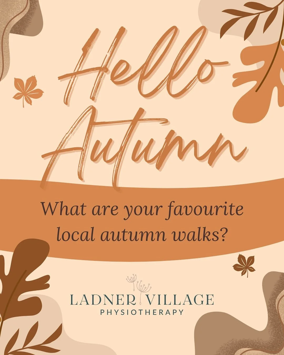 It&rsquo;s here! The leaves are starting to change, the air is crisp and pumpkin spice is in the air! 

🍁🍂 IT&rsquo;S AUTUMN!! 🍁🍂

If you&rsquo;re searching for a walk to admire the change of season and don&rsquo;t want to drive too far, check ou