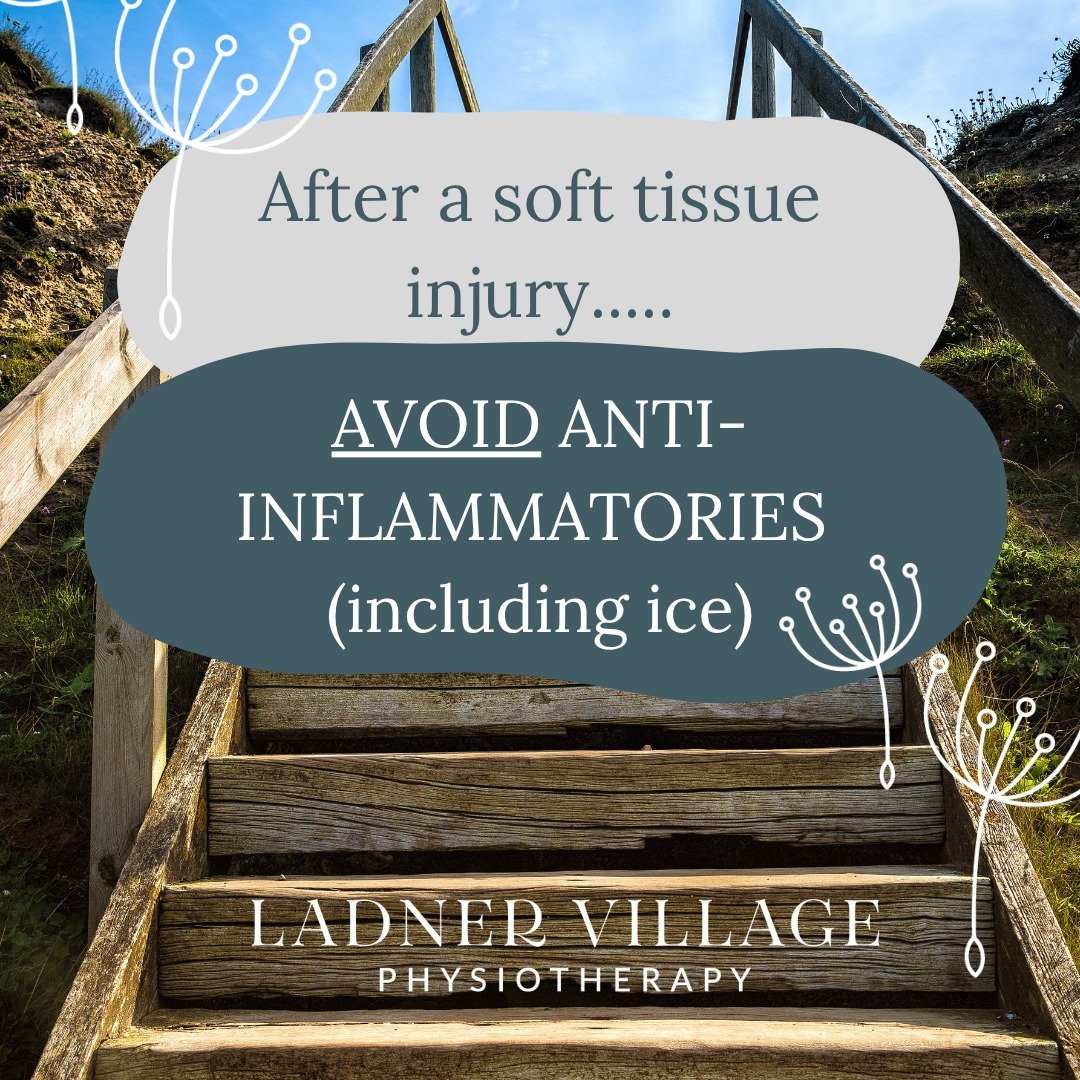 "Despite widespread use among clinicians and the population, there is no high-quality evidence on the efficacy of ice for treating soft-tissue injuries."

If you want to get technical:

"Even if mostly analgesic, ice could potentially 