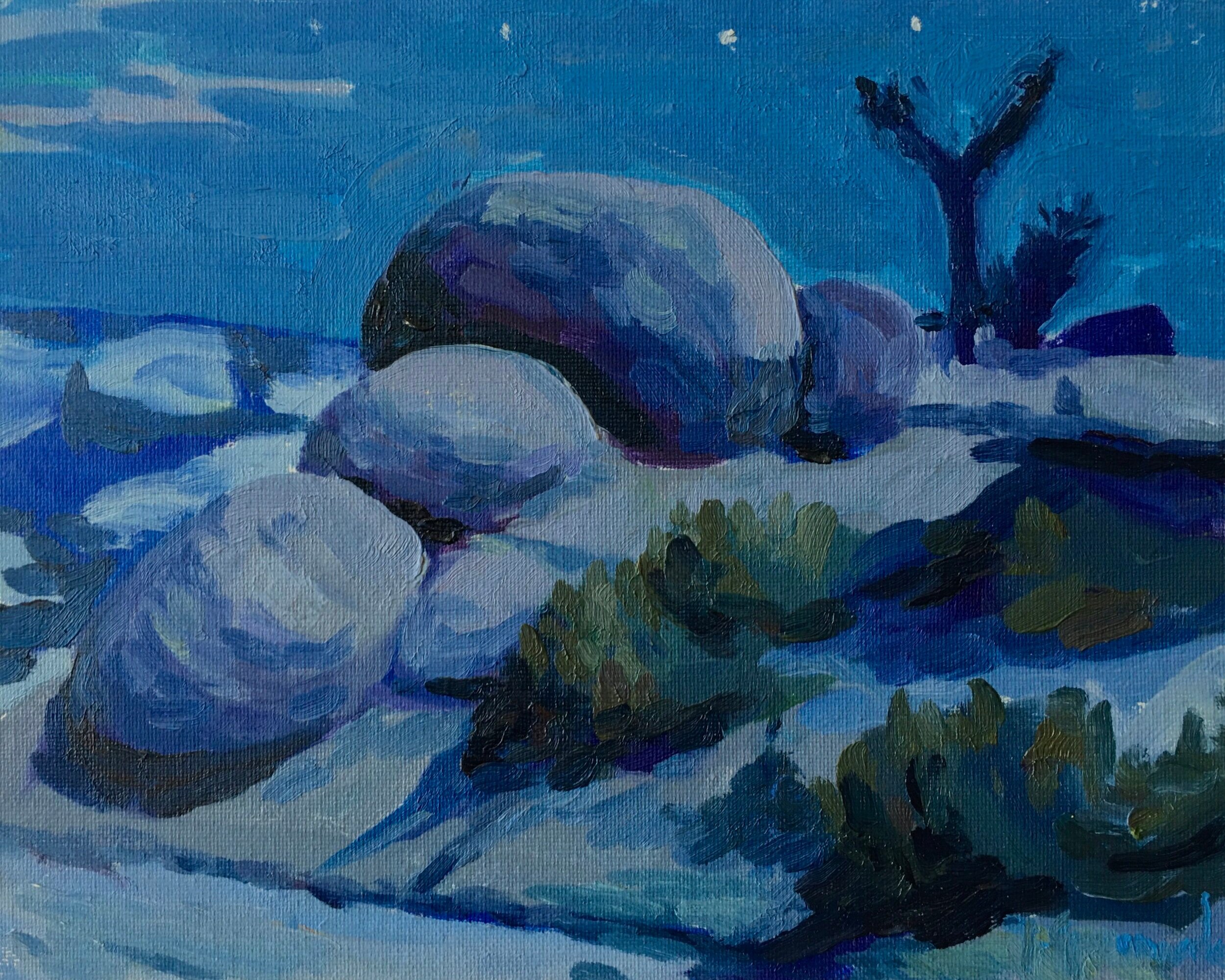 Midnight in Jumbo Rocks