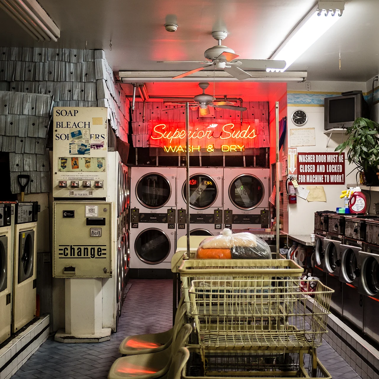 LEAH FRANCES – Superior Suds. Brooklyn, NY