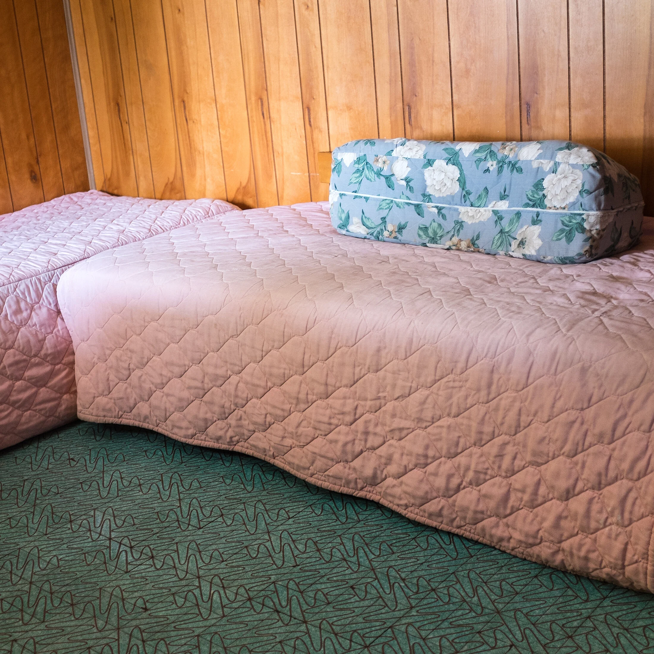 _DSCF2255.jpg