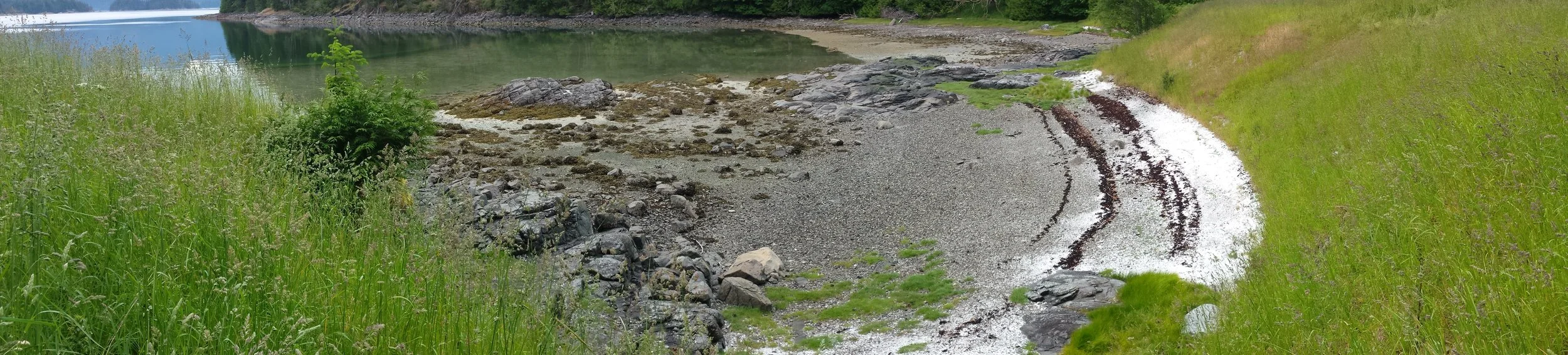 A culturally modified coastline on Quadra Island, in the Discovery Islands on the south coast of BC: at the far edge of the intertidal zone (flooded by water in the photo) is rock wall for a clam garden, in the center of the photo is a canoe run through a boulder and bedrock patch, and above the beach is a flat landform consisting almost entirely of accumulated shell, on which a village once stood. Photo by B. Letham.