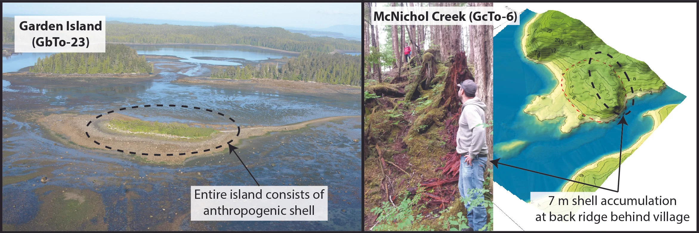 Examples of shell deposition that significantly transform landforms at Prince Rupert Harbour villages: Garden Island is an island almost entirely constructed of anthropogenic shell. Photo courtesy of Coastal and Ocean Resources and the Prince Rupert Port Authority (http://www.rupertport.com/port-authority/sustainability/shoreline-habitat). At the McNichol Creek village site (GcTo-6), a ridge of shell rises 7 m up from the natural landform behind the village. In the inset photo, the person in the red jacket stands on the crest of the ridge while the person in the foreground is standing at the base of the ridge behind the site on the natural ground surface. Photo by B. Letham.