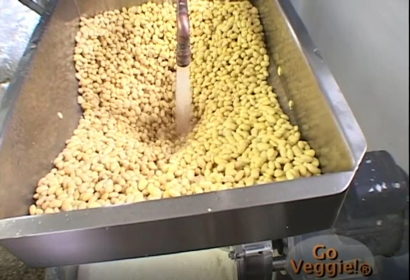 Go Veggie! with Kay "Stir Fry Primer" featuring Mu Tofu