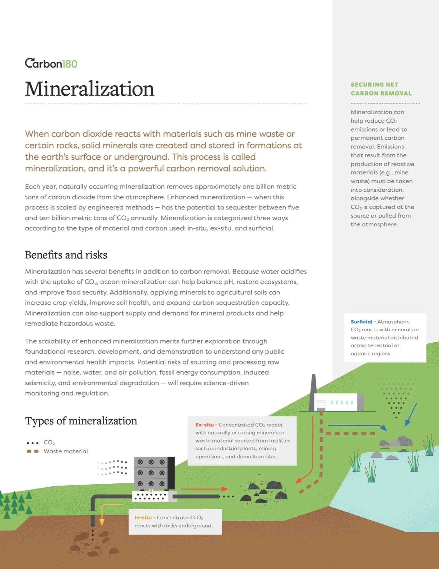 Mineralization