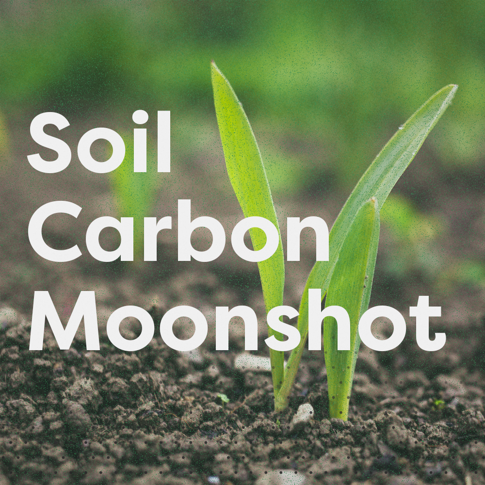Soil Carbon Moonshot