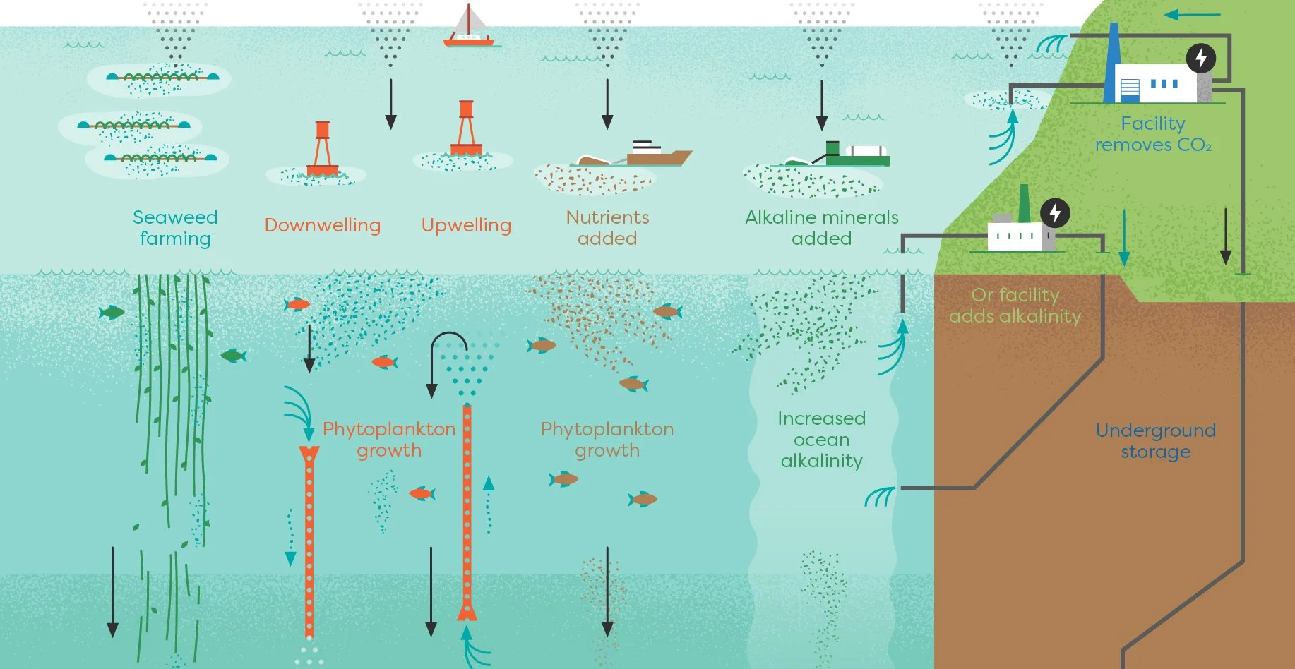 Carbon Herald: Carbon180 issues policy recommendations on ocean carbon removal | May 2023