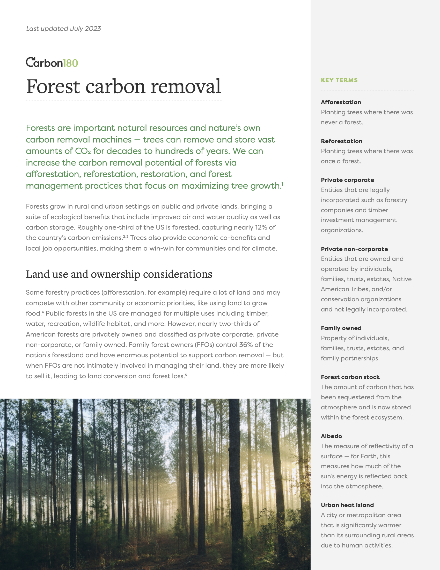 Forest Carbon Removal