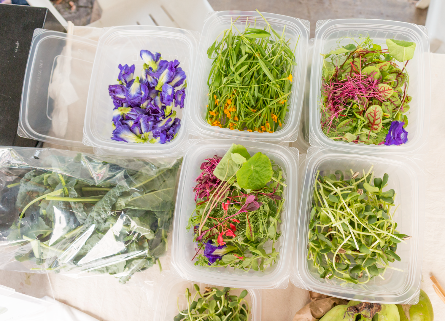 Beautiful edible flowers and microgreens by Edible Garden City