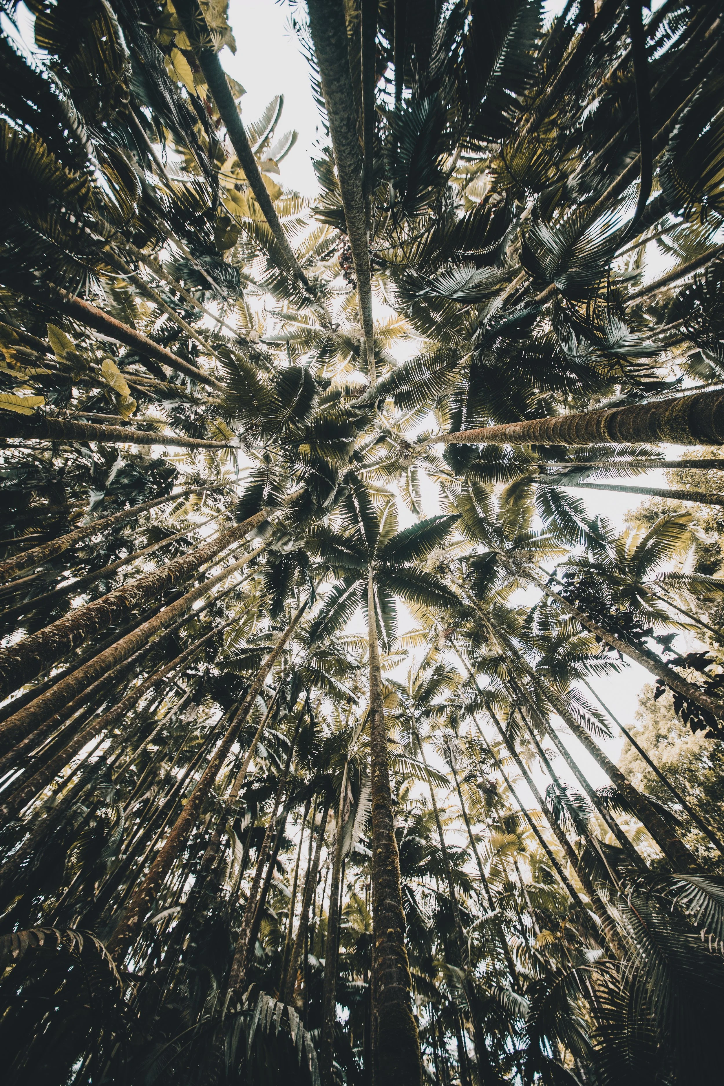EDCE684A-F570-42D8-A7B5-842A0EBD4018.JPG