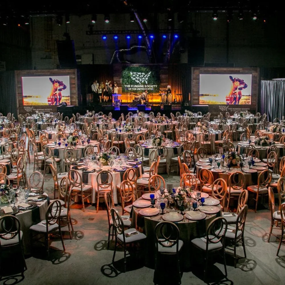 Nonprofit gala and fundraising event production by Hudson and Nine