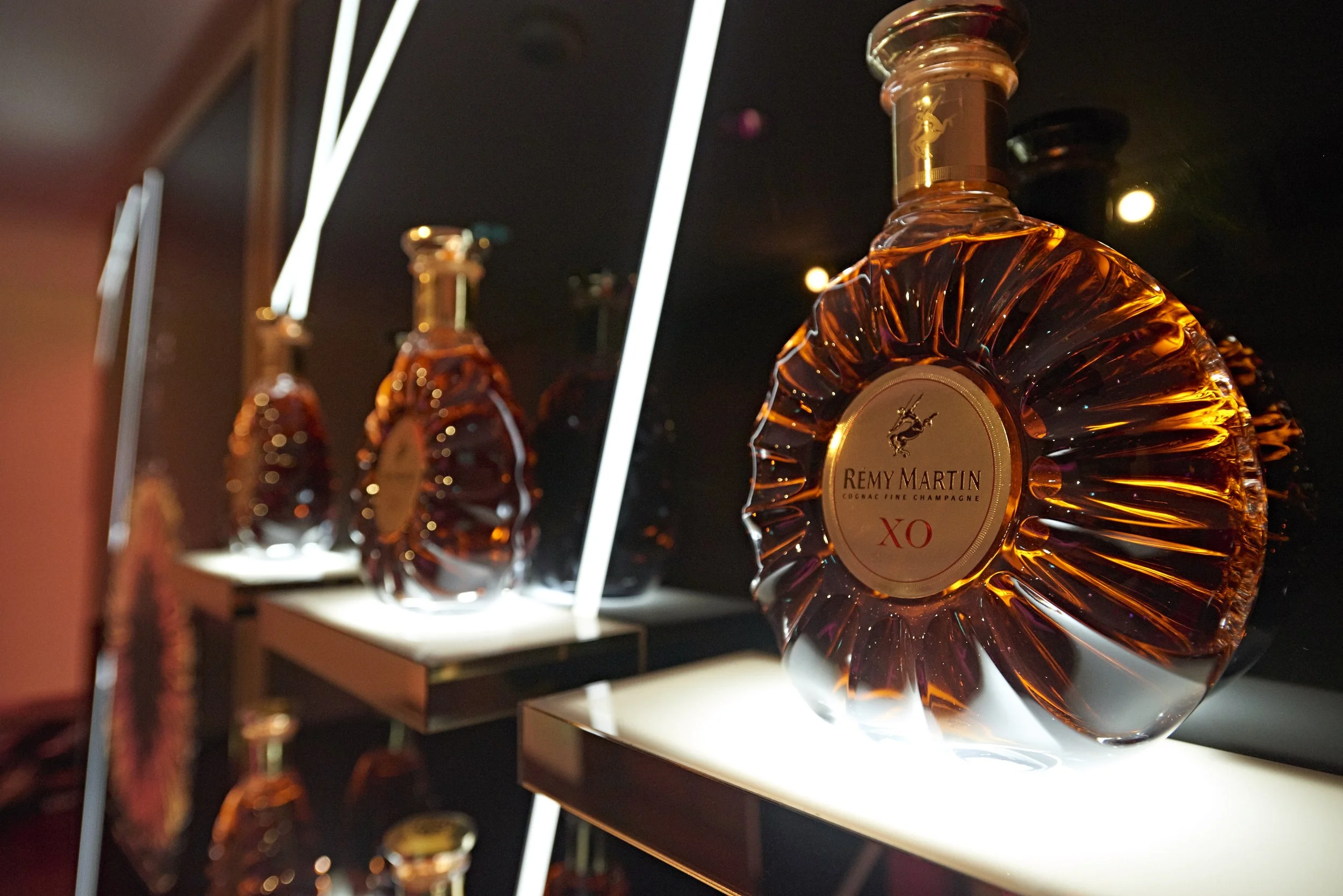 Asia_Society_Remy_Martin029.jpg