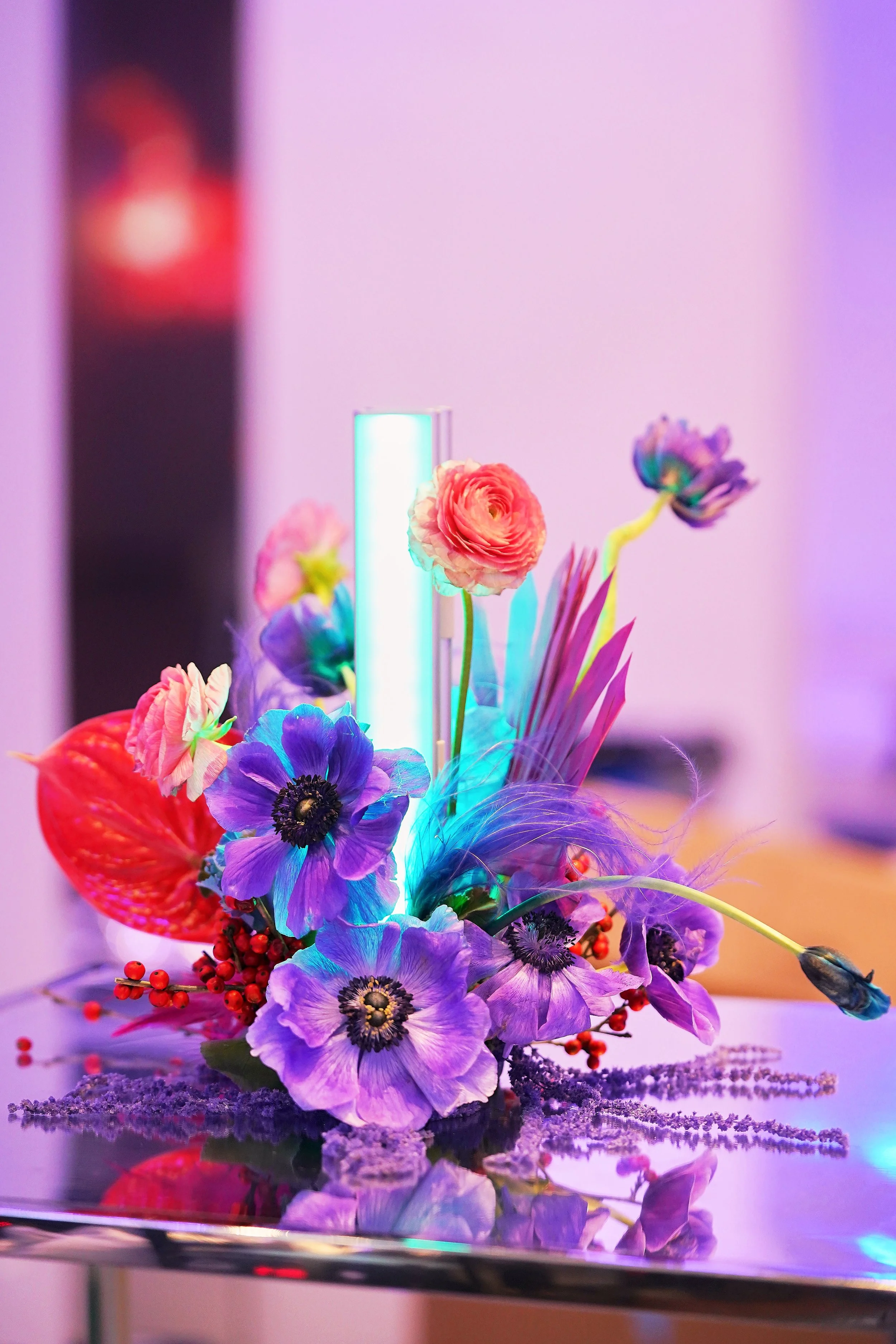RCS08596_WFP_EDIT.jpg